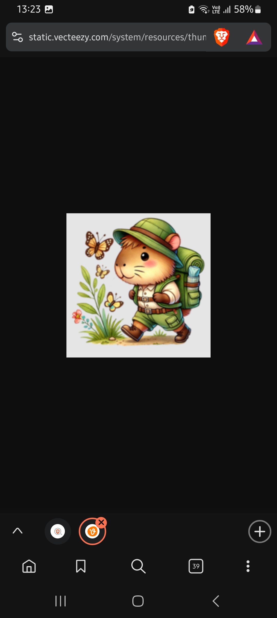 imagen participante carrera