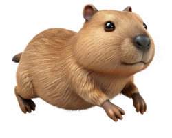 imagen participante carrera