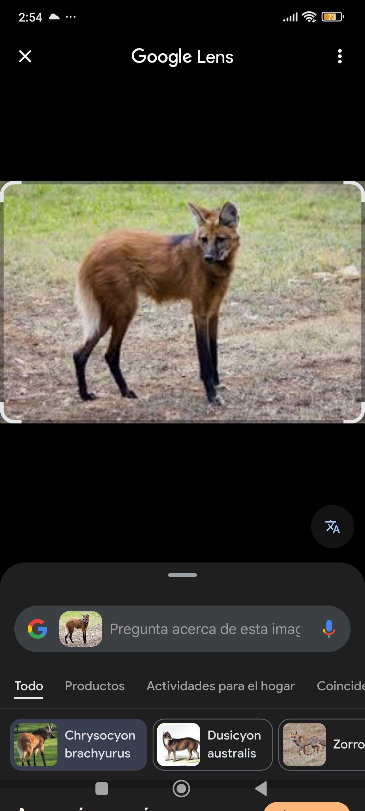 imagen participante carrera