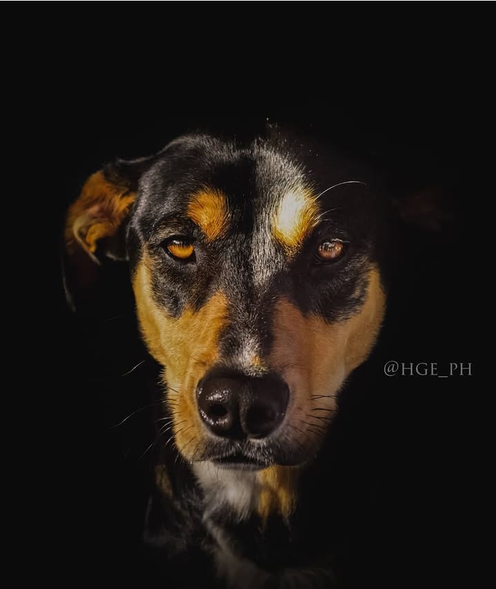 imagen participante carrera