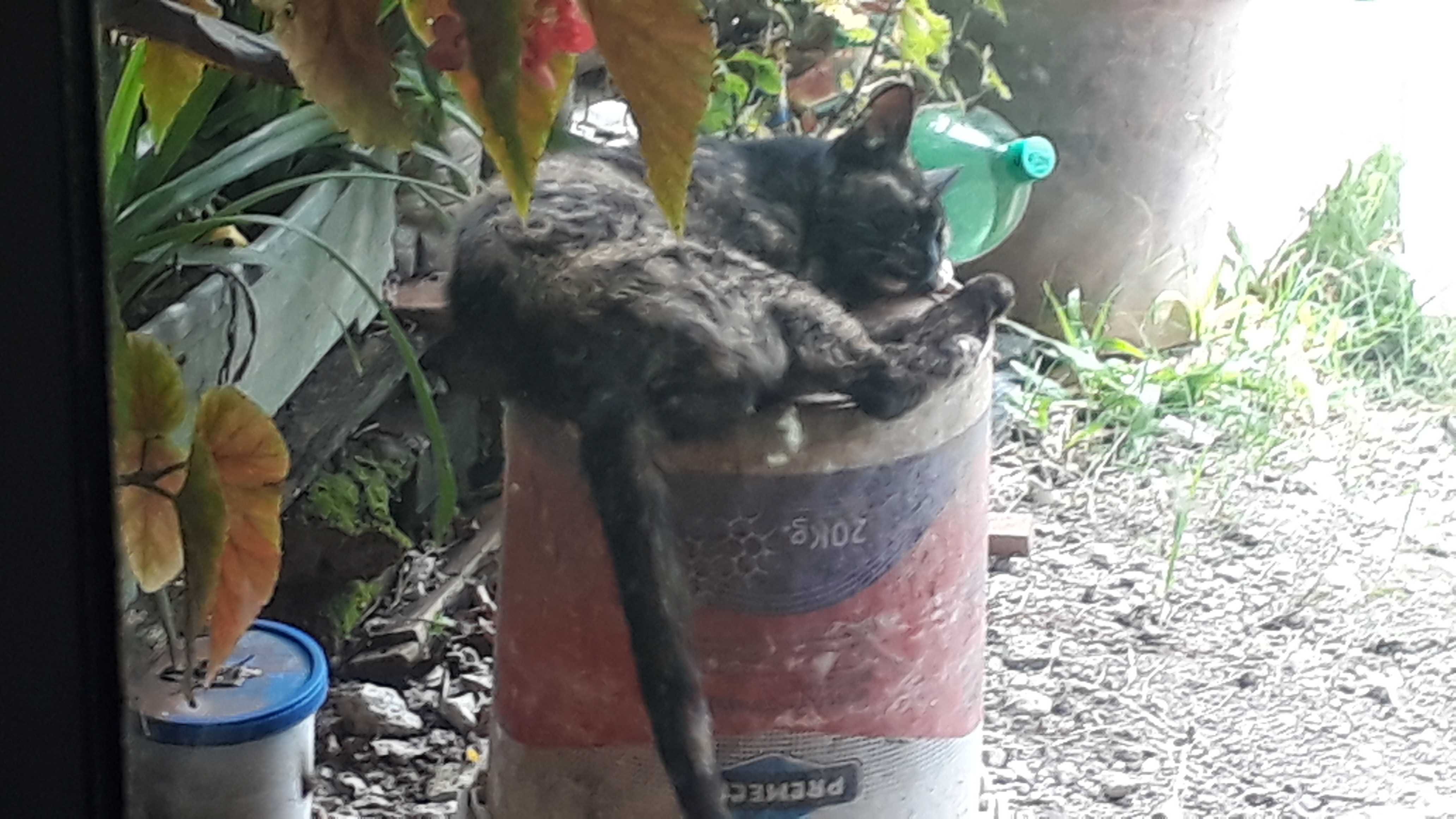 imagen participante carrera