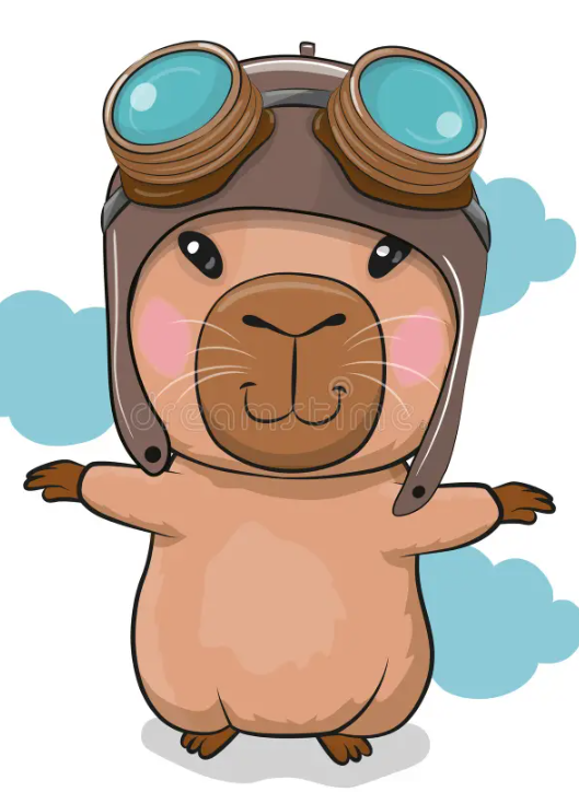 imagen participante carrera