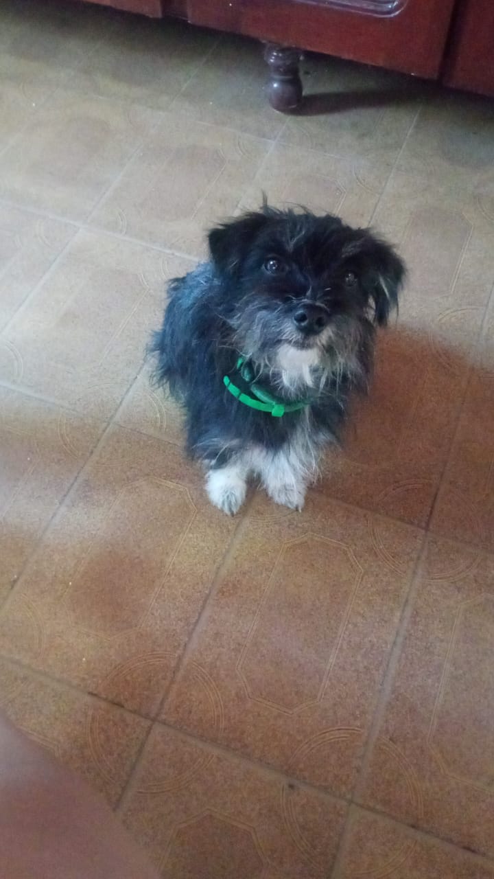 imagen participante carrera