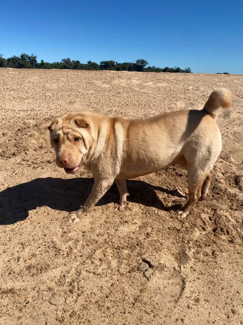 imagen participante carrera