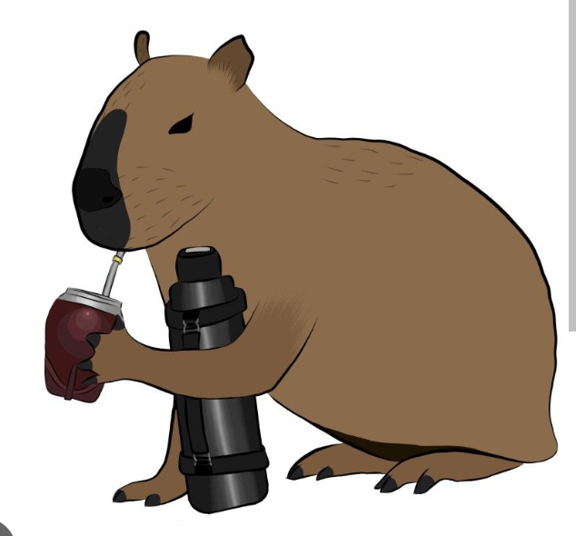 imagen participante carrera