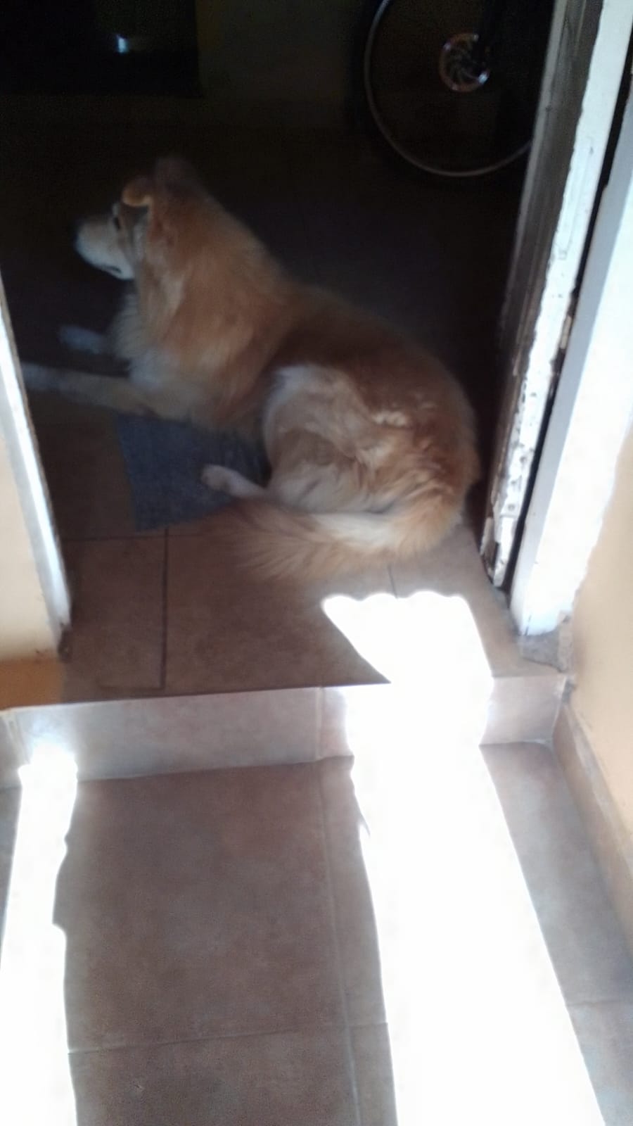 imagen participante carrera