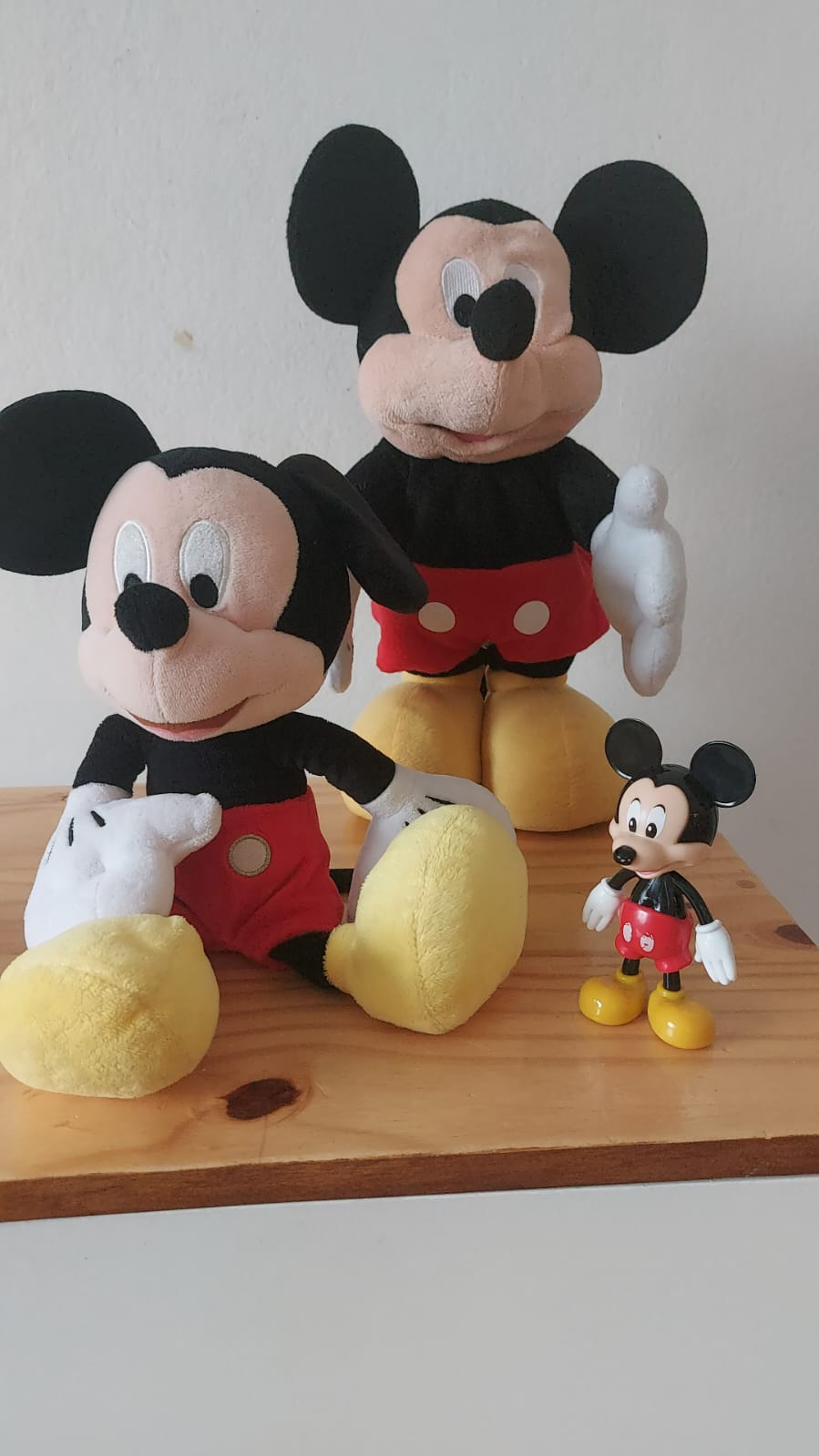 imagen participante carrera