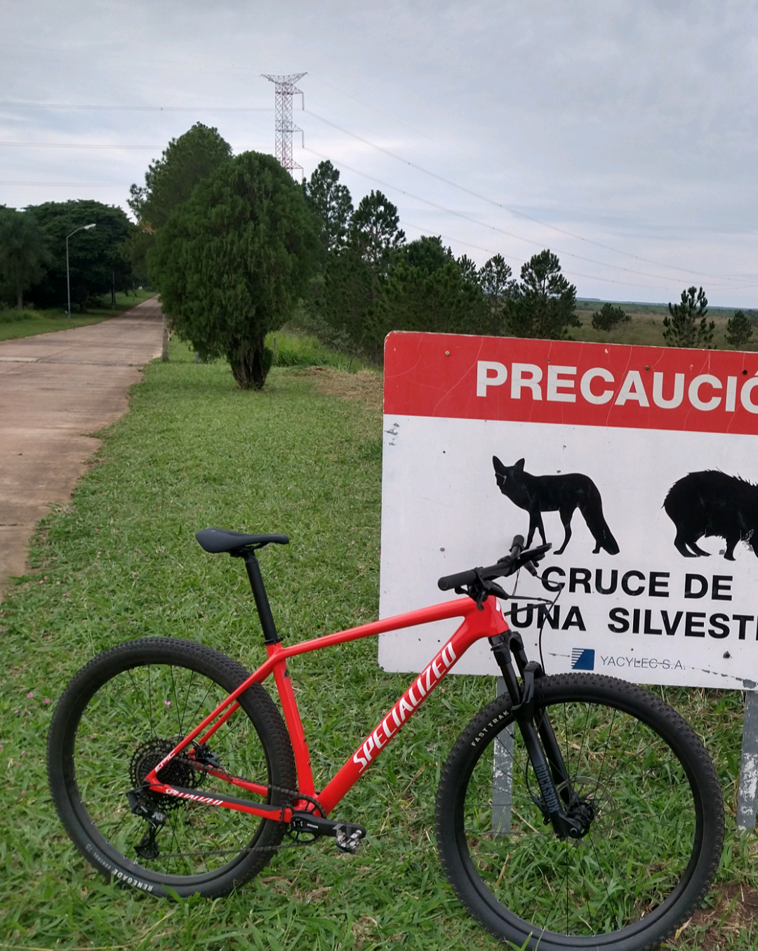 imagen participante carrera