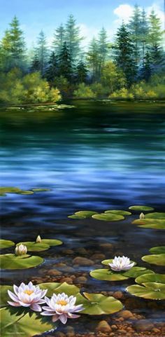 imagen participante carrera