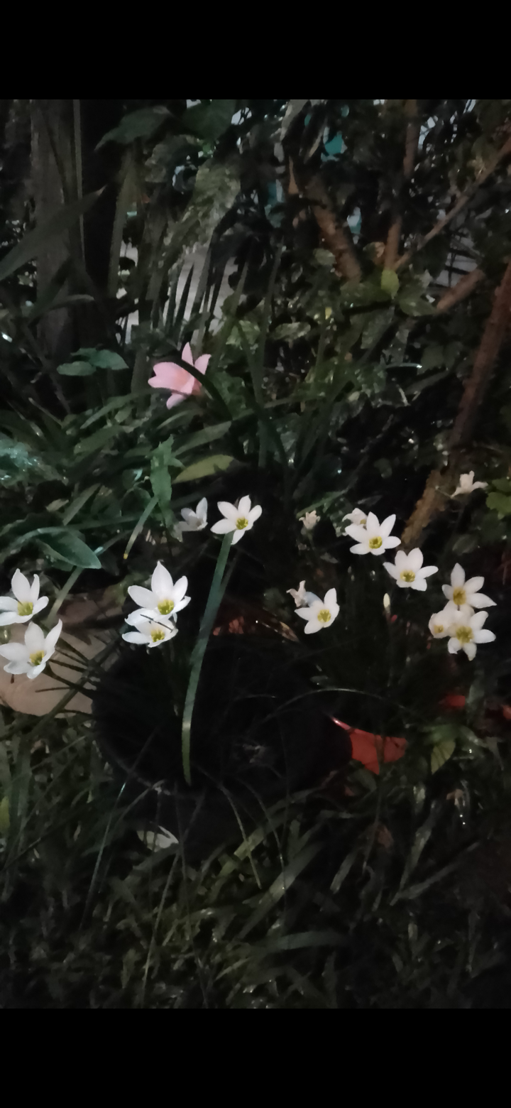 imagen participante carrera