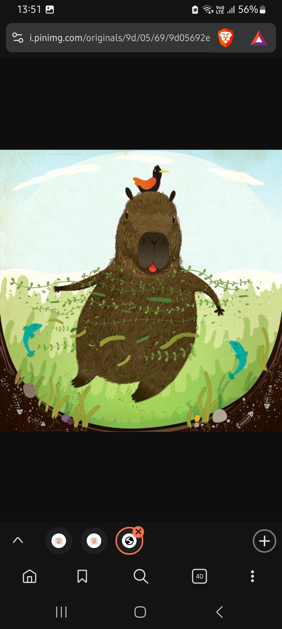 imagen participante carrera