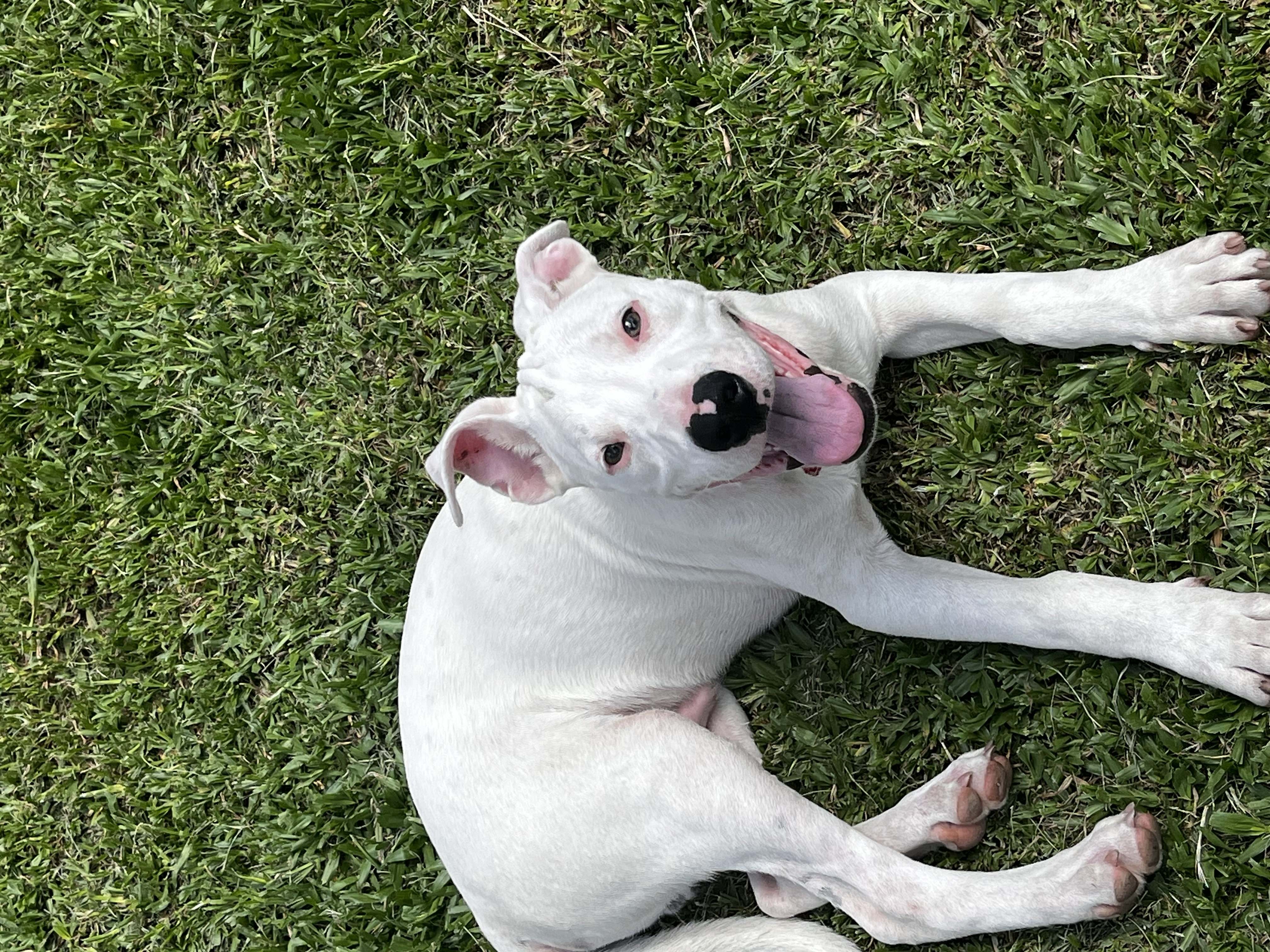 imagen participante carrera