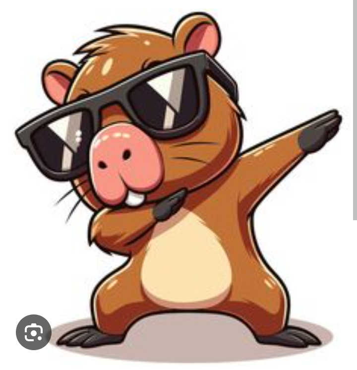 imagen participante carrera