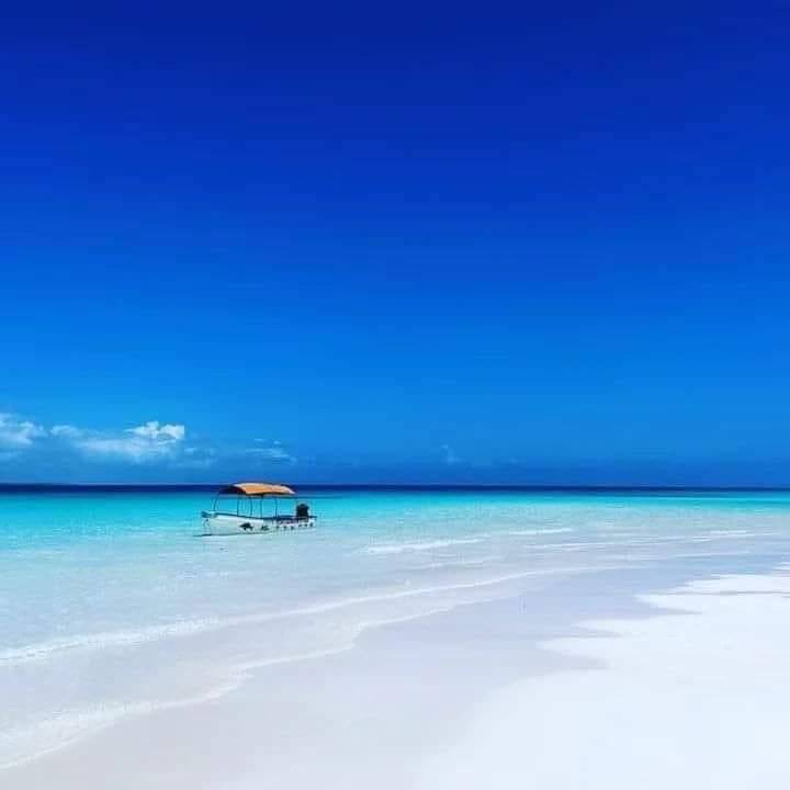 imagen participante carrera